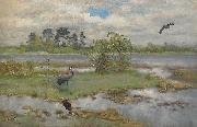 Landscape With Cranes at the Water bruno liljefors